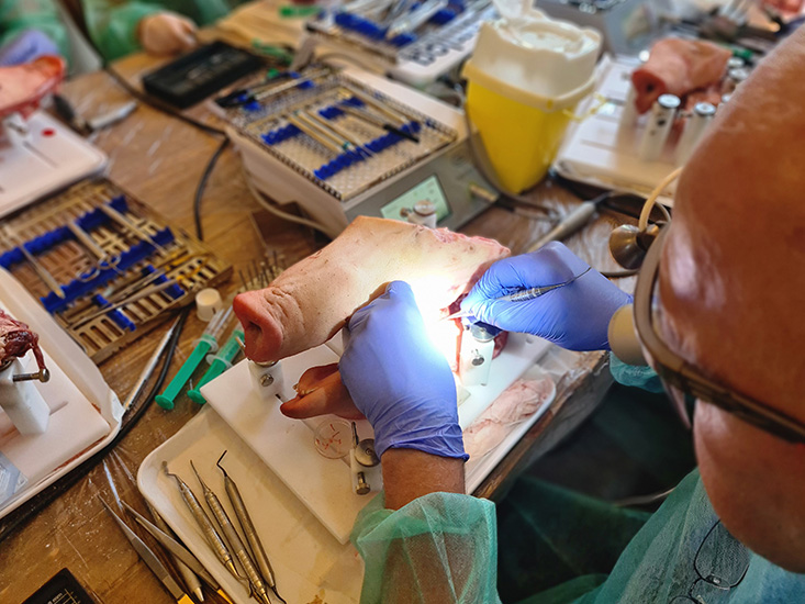 <!-- IEQ.SystemsLib.CMS.CMSFuncs. InsertContentHeadline(type=lang) failed -->