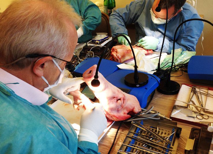 Implantatzentrum Alster - Dr. Leyli Behfar