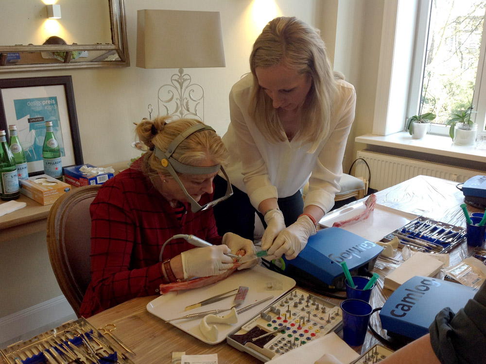 Implantatzentrum Alster - Dr. Leyli Behfar