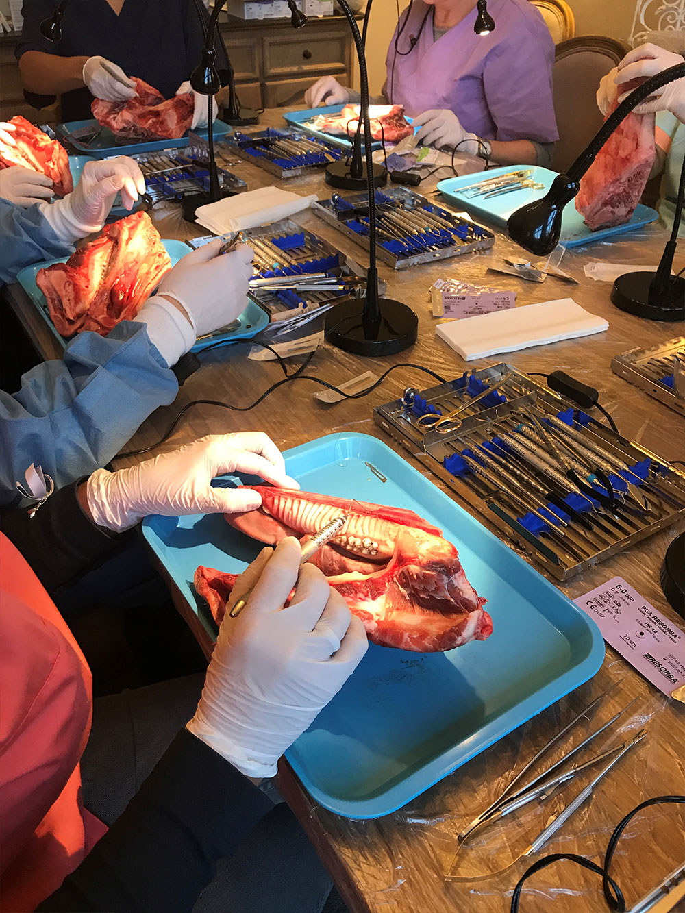 Implantatzentrum Alster - Dr. Leyli Behfar